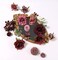 25pcs Silk Fake Flowers Roses for DIY Wedding Bouquets Burgundy Centerpieces